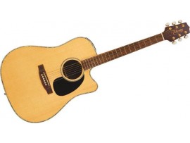 Guitar Acoustic TAKAMINE EG360SC